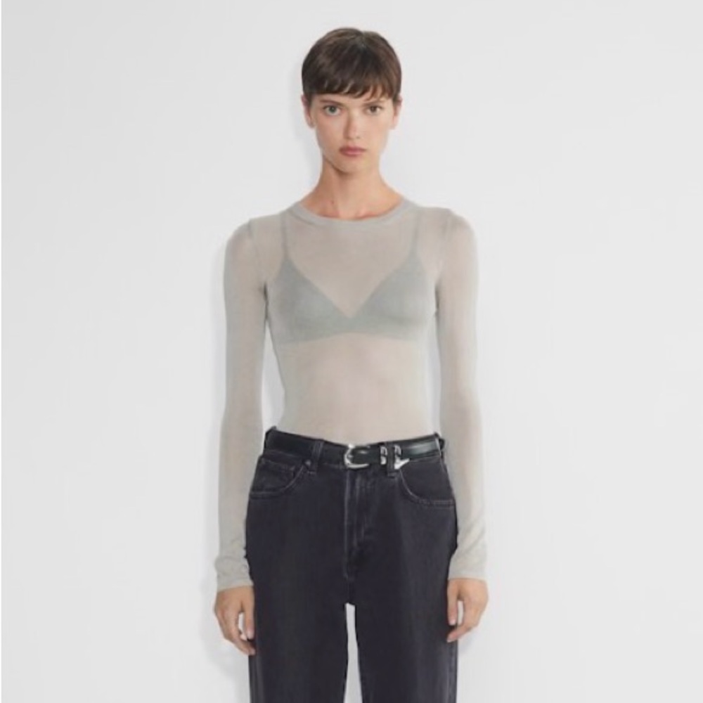 Wilfred grey long sleeve sheer top with shimmer
